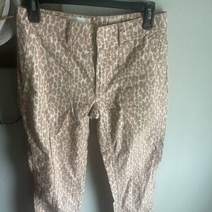 Wanderer Pants Anthropologie